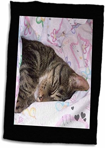 3D - Кърпи за фотография Приятен Сън черно-кафяв Раиран котка (twl-242445-3)