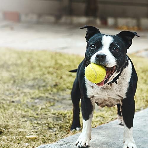 Тенис топки за кучета MOTZABO - 12 X 2,5 Скрипучих Интерактивни играчки за Кучета Топки за Малки, Средни и Големи Кучета - Гумени Играчки за кучета с отскок за тренировки, игри и Извличане на