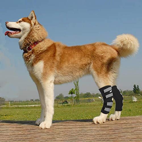 Скакательный еластична превръзка на задния крак, ръчно кучета, Двойка компрессионных бандажей за ставите на лапите кучета Предпазва рани, лекува и предпазва от травми и навяхвания, помага при загуба на устойчивост,