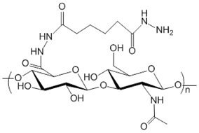 Гиалуронат-гидразид, MW 1000 кДа (500 мг)