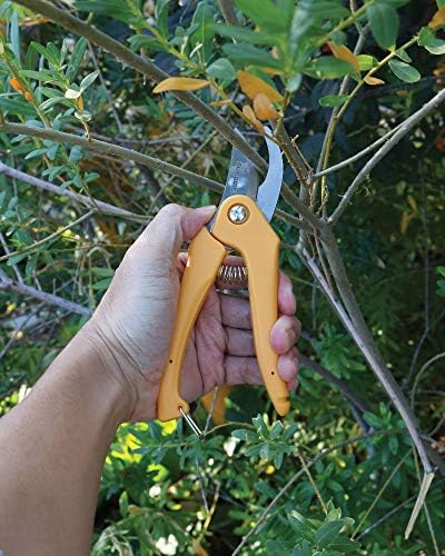 Градински ножици Regal за люляк и лозови насаждения (Маргаритка)
