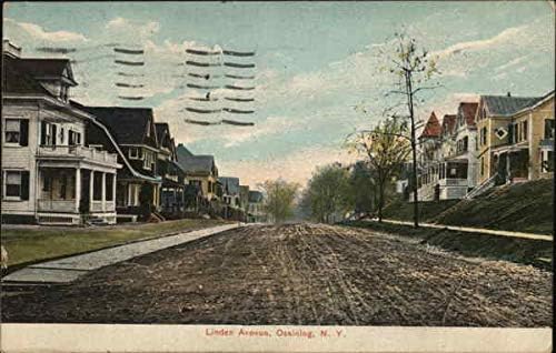 Линден Авеню Оссининг, Ню Йорк, Ню Йорк Оригиналната Антични Картичка 1908 г.