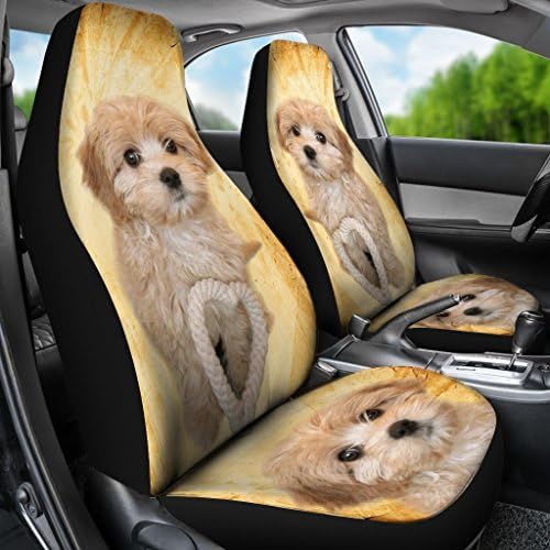 Седалките за столчета за автомобил с кучешка принтом Pawlion Cavapoo