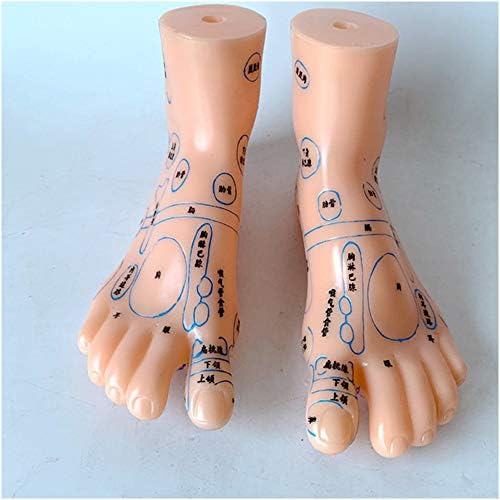 Модел за акупунктура на краката FHUILI - Модел за Акупунктура на краката 19 см, Модел за Акупунктура на човека, Модел за Акупунктура на краката с Надпис HD, Модел за китайска Медицина за изследване на Акупунктурните